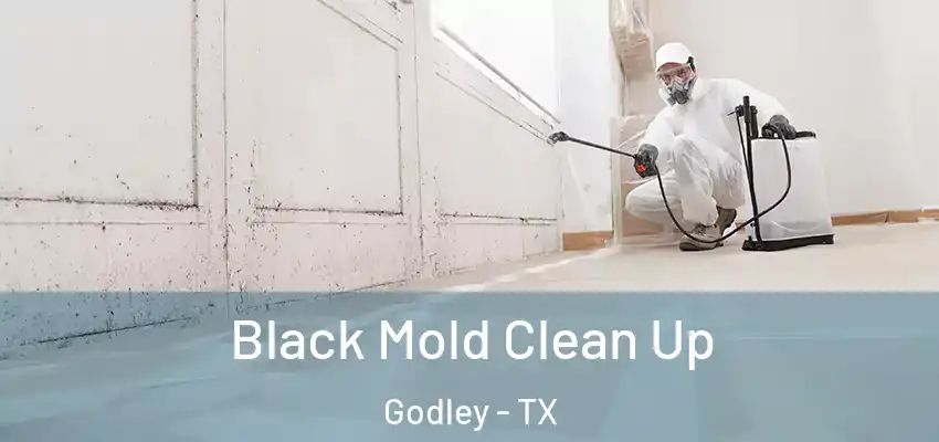 Black Mold Clean Up Godley - TX