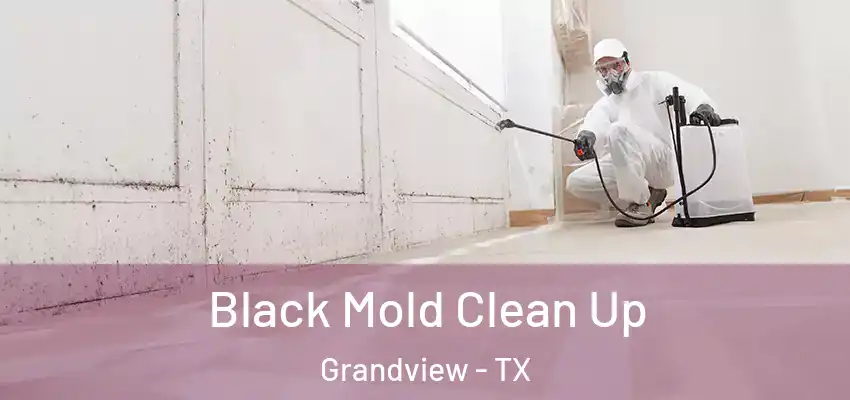 Black Mold Clean Up Grandview - TX