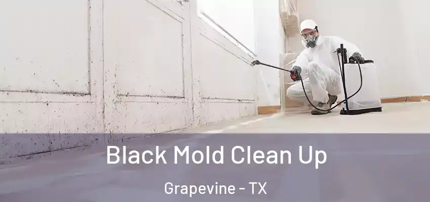 Black Mold Clean Up Grapevine - TX