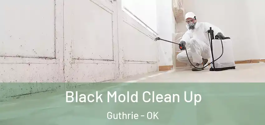 Black Mold Clean Up Guthrie - OK