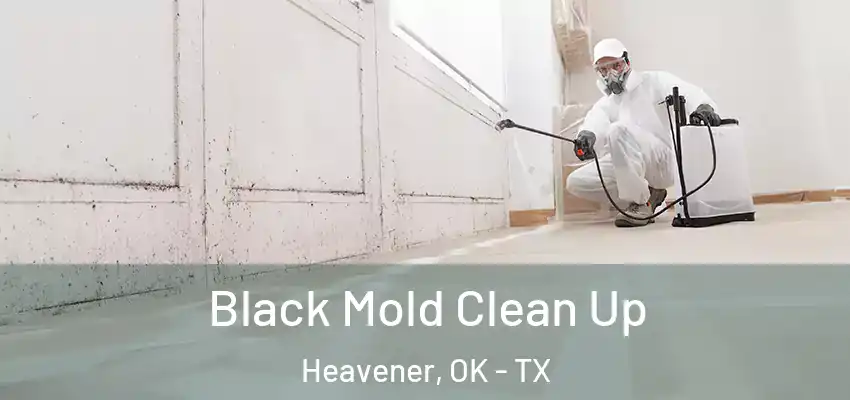  Black Mold Clean Up Heavener, OK - TX