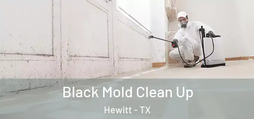  Black Mold Clean Up Hewitt - TX