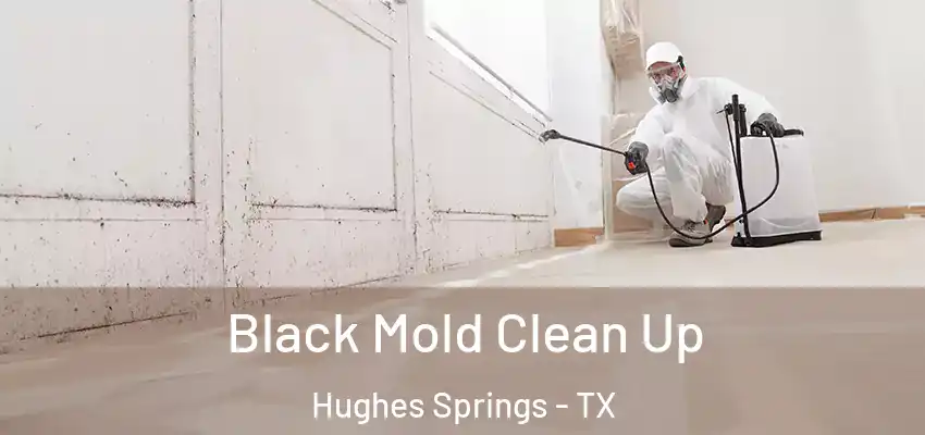  Black Mold Clean Up Hughes Springs - TX