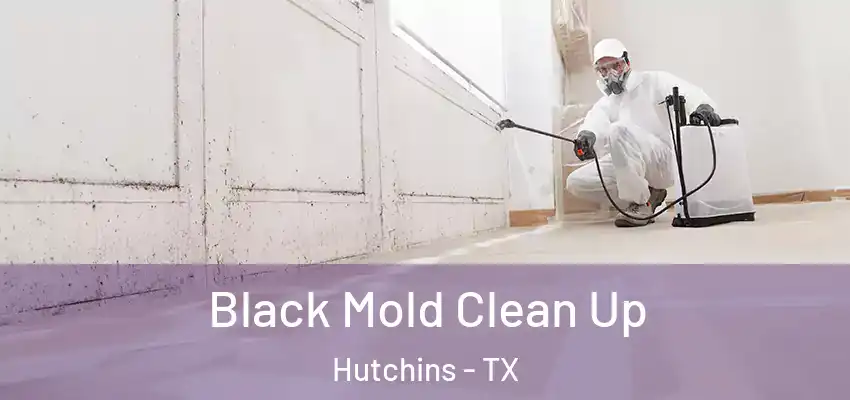  Black Mold Clean Up Hutchins - TX