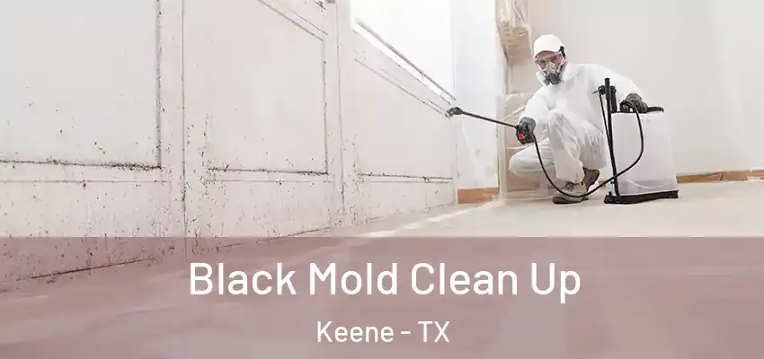  Black Mold Clean Up Keene - TX