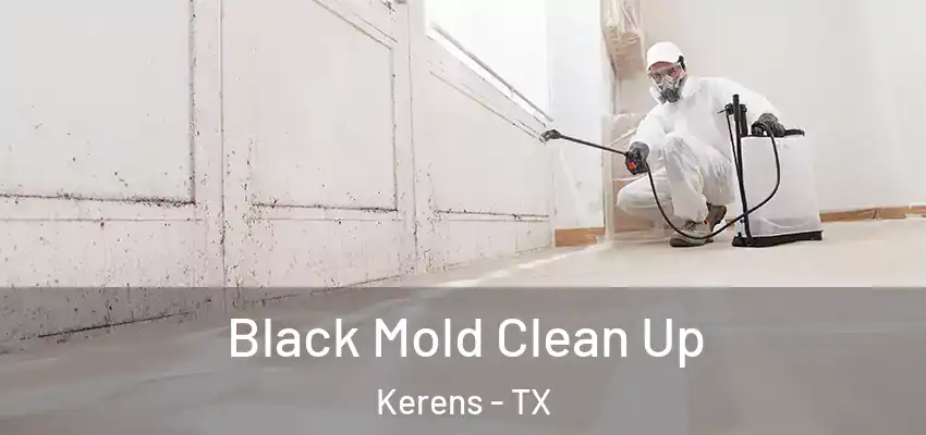  Black Mold Clean Up Kerens - TX