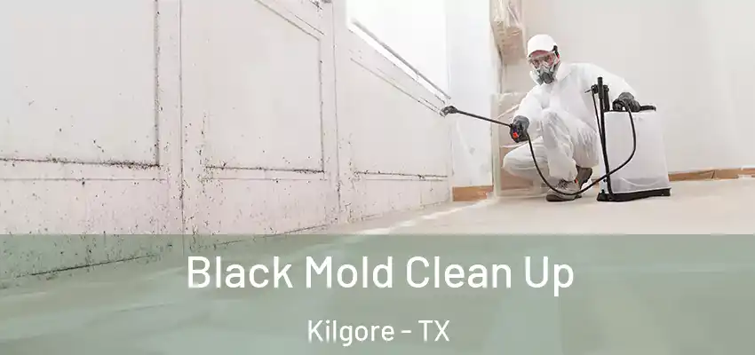 Black Mold Clean Up Kilgore - TX