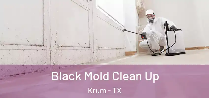  Black Mold Clean Up Krum - TX