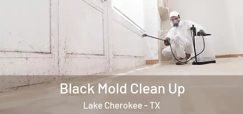  Black Mold Clean Up Lake Cherokee - TX