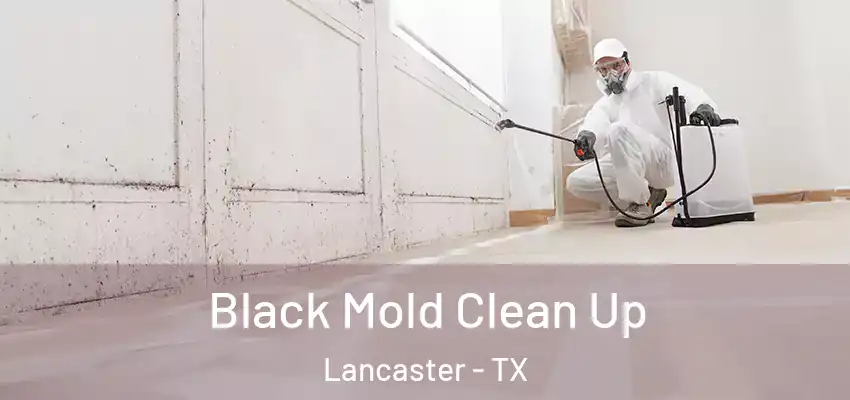 Black Mold Clean Up Lancaster - TX