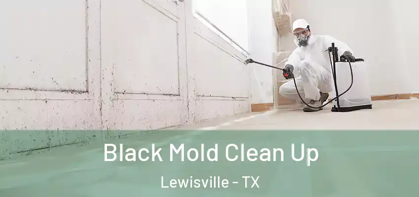  Black Mold Clean Up Lewisville - TX