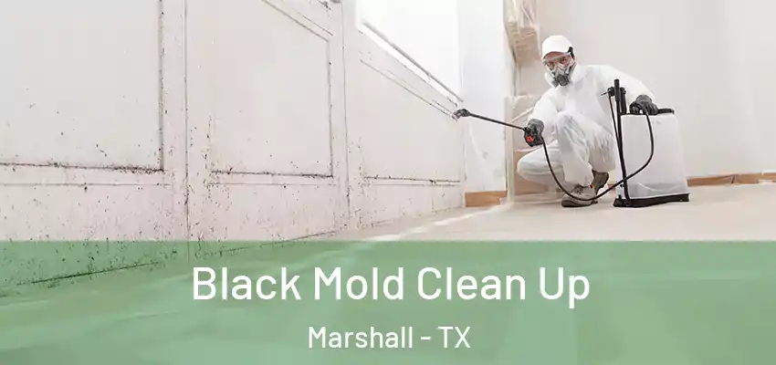 Black Mold Clean Up Marshall - TX