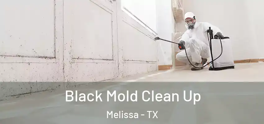  Black Mold Clean Up Melissa - TX