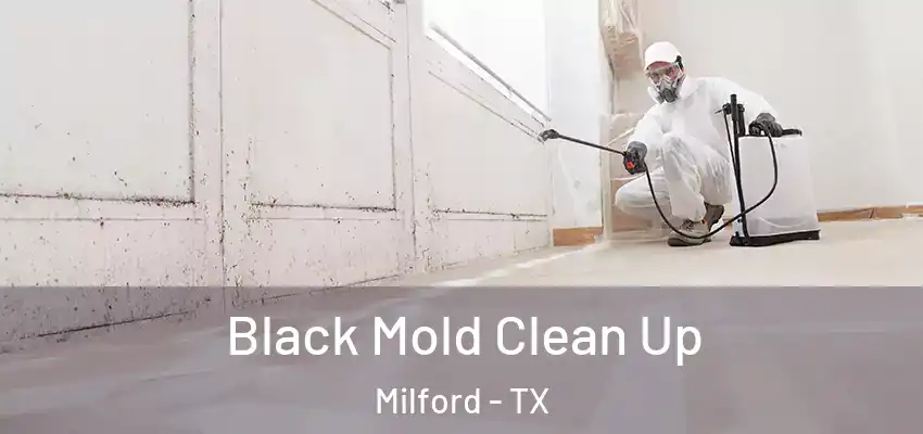 Black Mold Clean Up Milford - TX