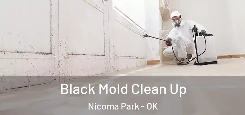  Black Mold Clean Up Nicoma Park - OK