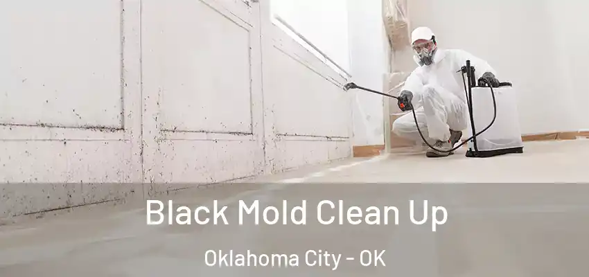  Black Mold Clean Up Oklahoma City - OK