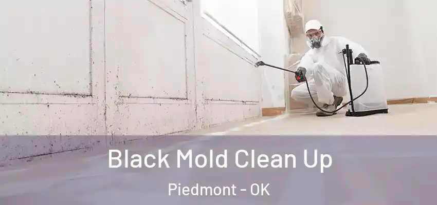  Black Mold Clean Up Piedmont - OK