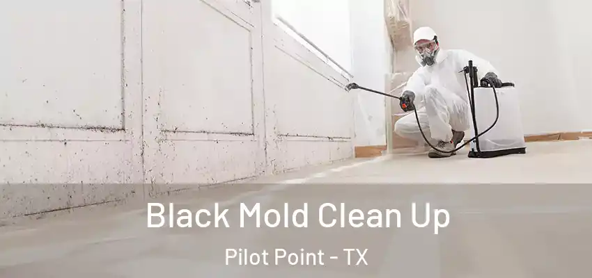  Black Mold Clean Up Pilot Point - TX