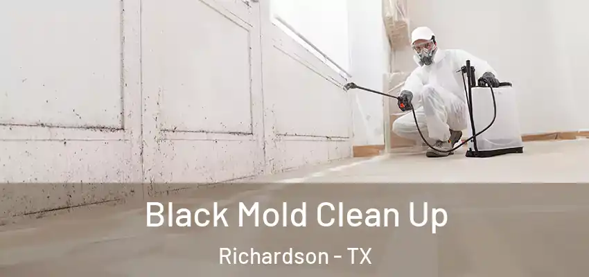 Black Mold Clean Up Richardson - TX