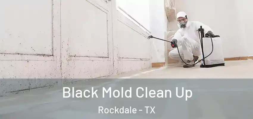  Black Mold Clean Up Rockdale - TX