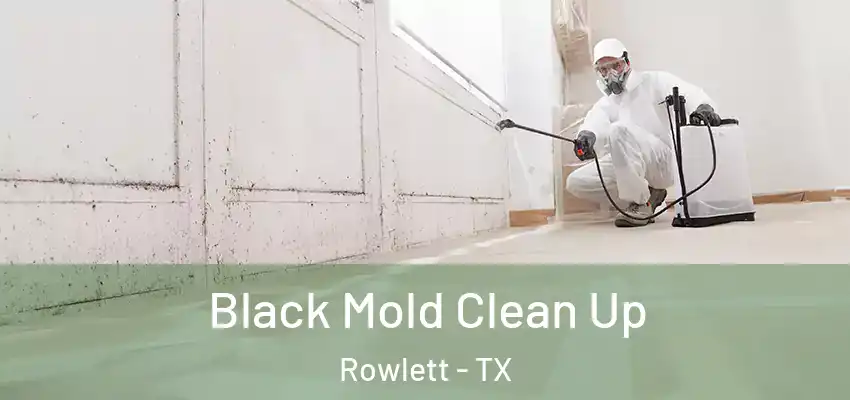 Black Mold Clean Up Rowlett - TX