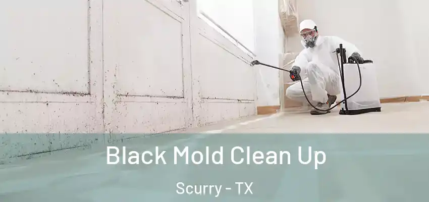 Black Mold Clean Up Scurry - TX