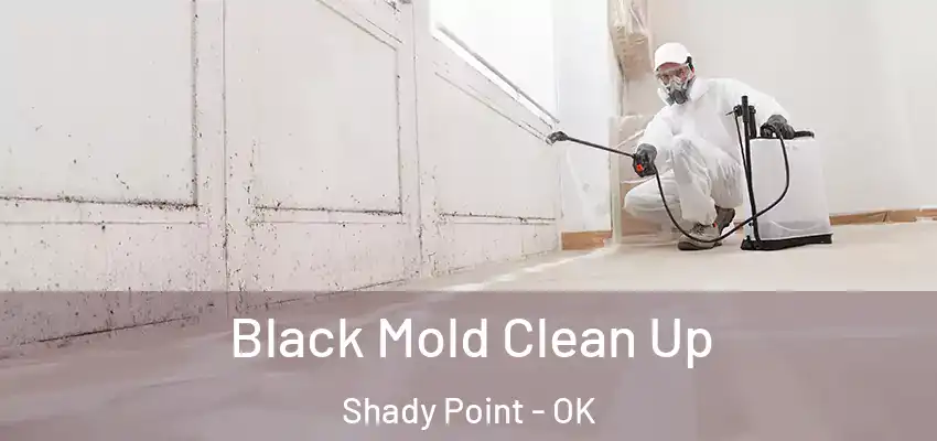 Black Mold Clean Up Shady Point - OK