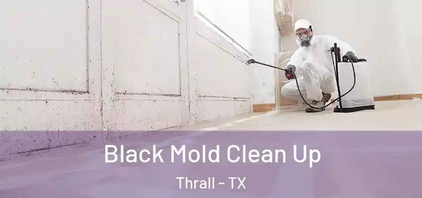  Black Mold Clean Up Thrall - TX