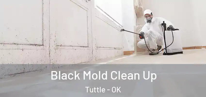 Black Mold Clean Up Tuttle - OK