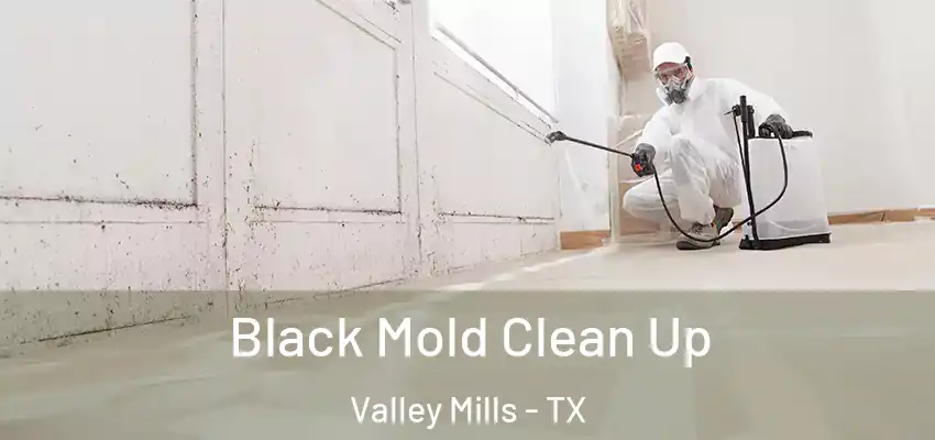  Black Mold Clean Up Valley Mills - TX