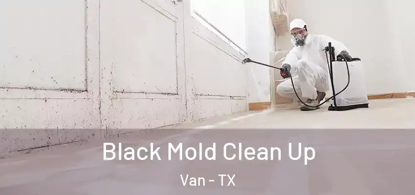 Black Mold Clean Up Van - TX