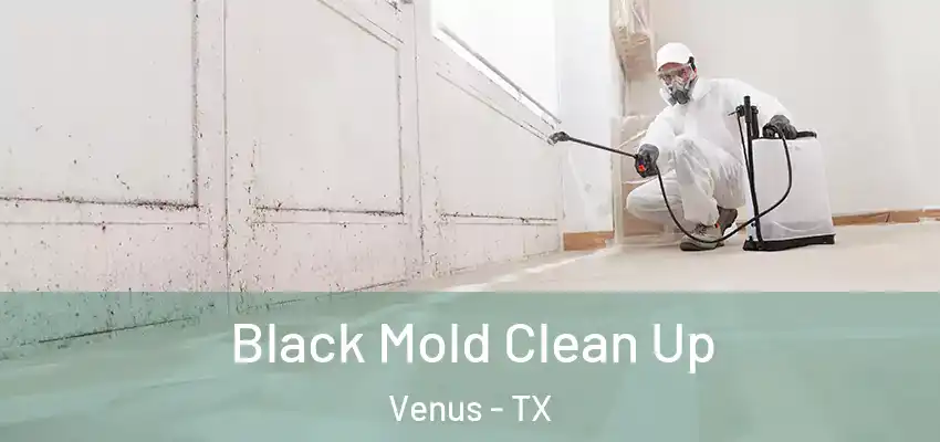  Black Mold Clean Up Venus - TX