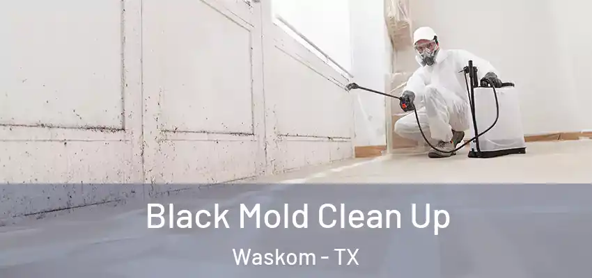 Black Mold Clean Up Waskom - TX