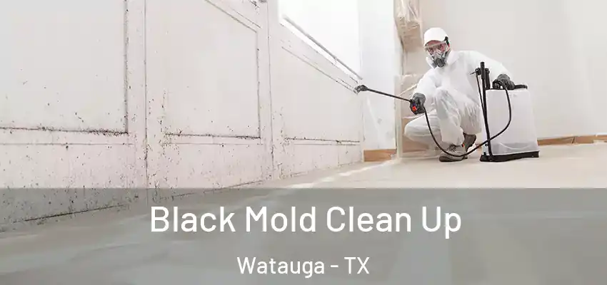 Black Mold Clean Up Watauga - TX