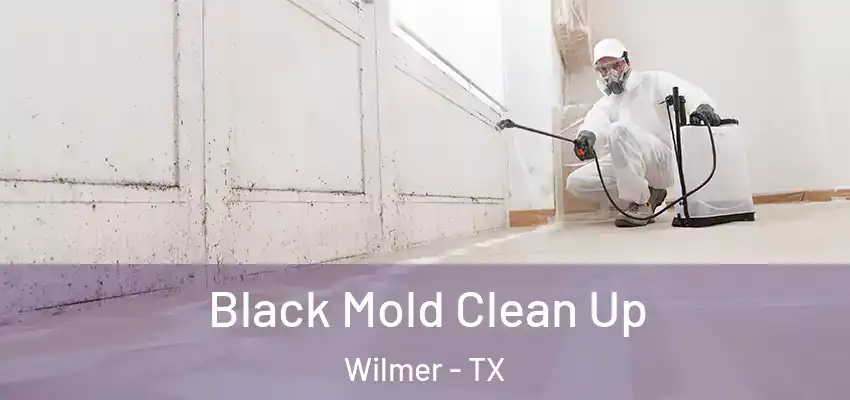  Black Mold Clean Up Wilmer - TX