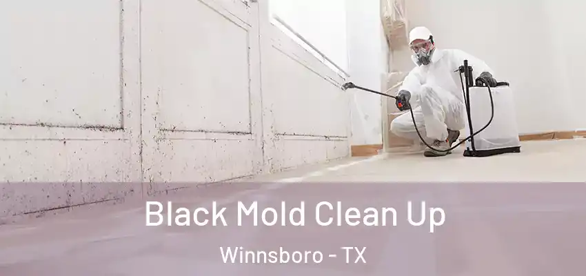  Black Mold Clean Up Winnsboro - TX