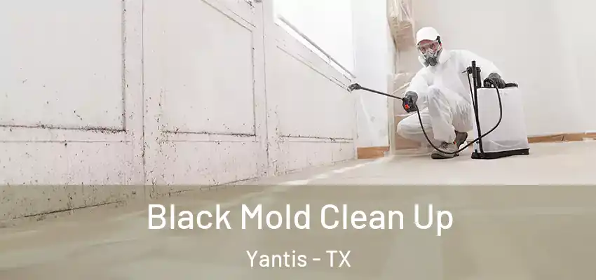 Black Mold Clean Up Yantis - TX
