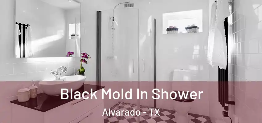 Black Mold In Shower Alvarado - TX