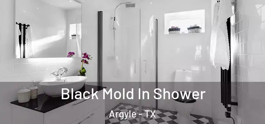 Black Mold In Shower Argyle - TX