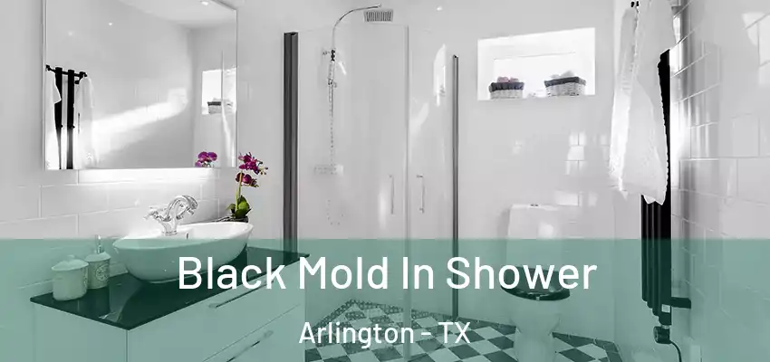  Black Mold In Shower Arlington - TX