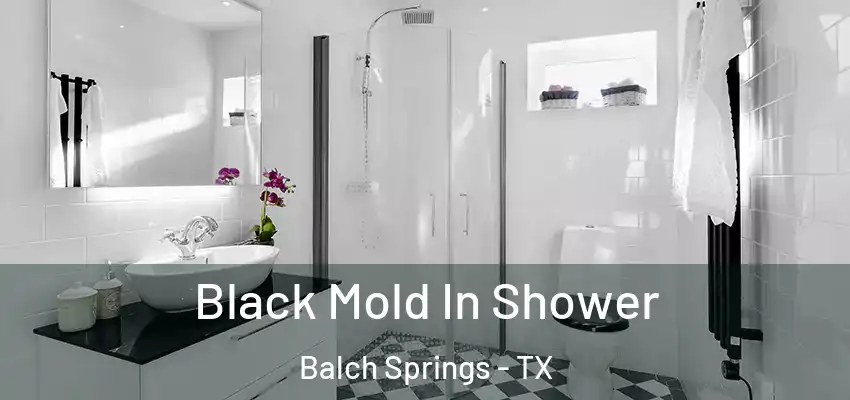 Black Mold In Shower Balch Springs - TX