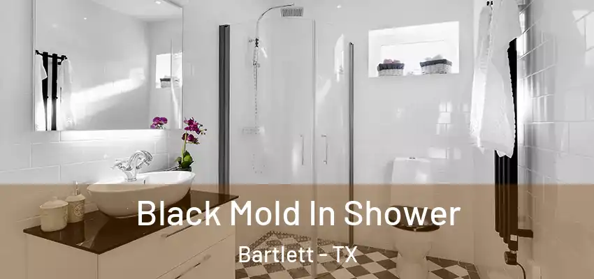 Black Mold In Shower Bartlett - TX
