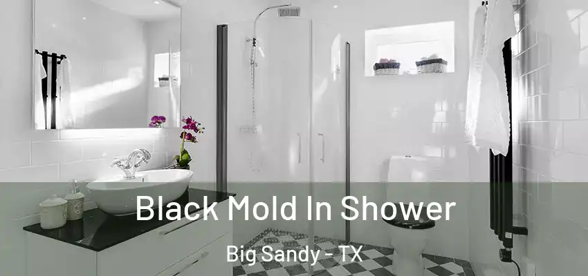 Black Mold In Shower Big Sandy - TX