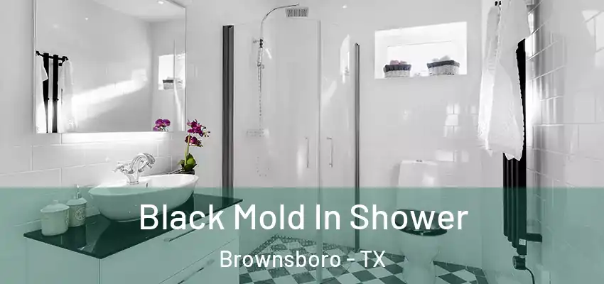  Black Mold In Shower Brownsboro - TX