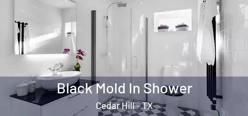  Black Mold In Shower Cedar Hill - TX