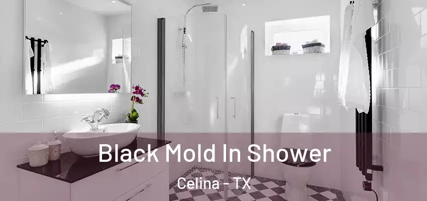  Black Mold In Shower Celina - TX