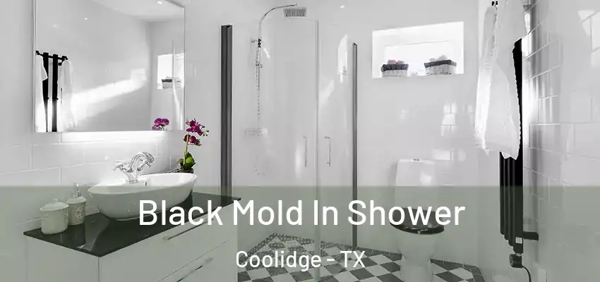  Black Mold In Shower Coolidge - TX