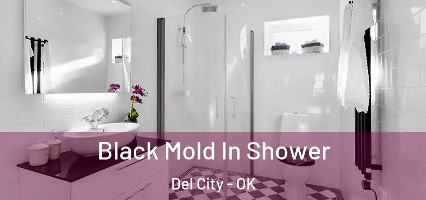 Black Mold In Shower Del City - OK