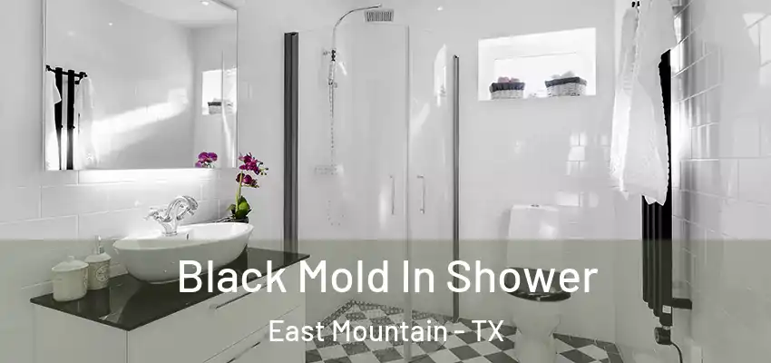  Black Mold In Shower East Mountain - TX