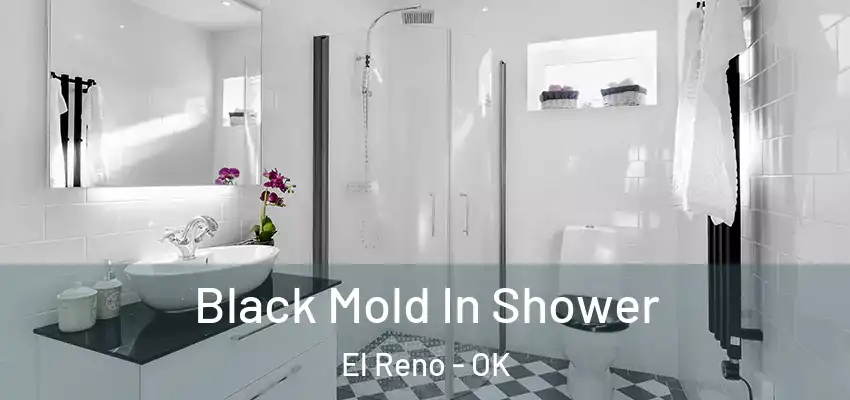  Black Mold In Shower El Reno - OK